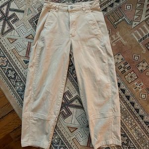 Everlane barrel wide leg pants